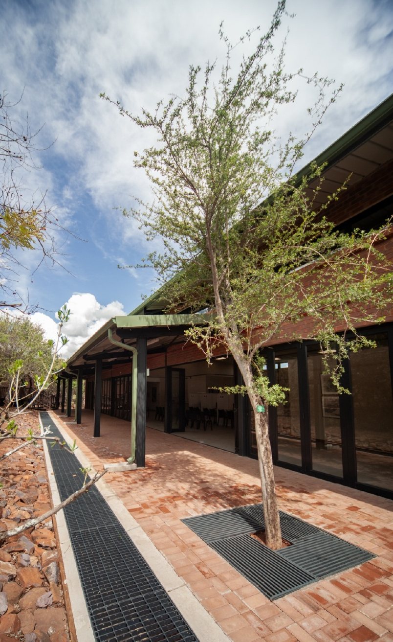 Brick-paved covered walkway with a steel-grated drainage channel and a tree growing through a grated opening.